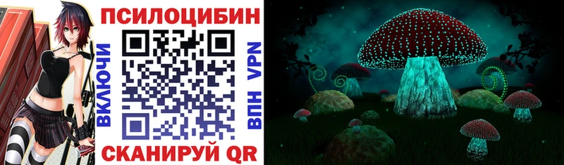 Купить закладки  Бодайбо  Псилоцибиновые грибы MAGIC MUSHROOMS 